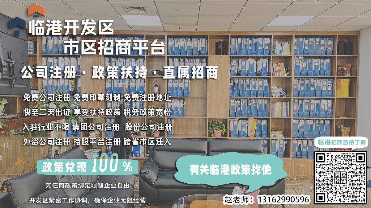 临港开发区公司注册，股东会决议盖章需要哪些审计整改？